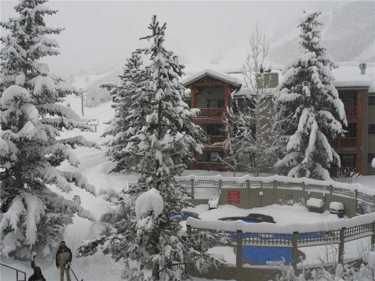 Snow Flower #051 Main image 2